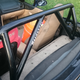Illustration for article titled Roll bar Pictures